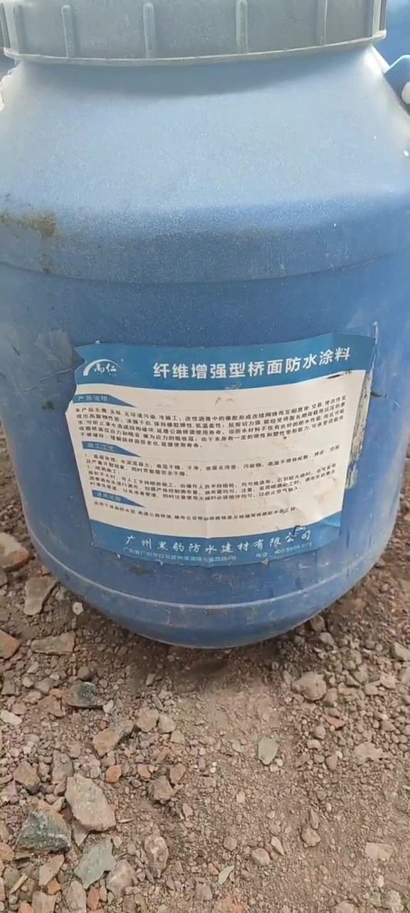 重庆白居寺长江大桥桥梁防水