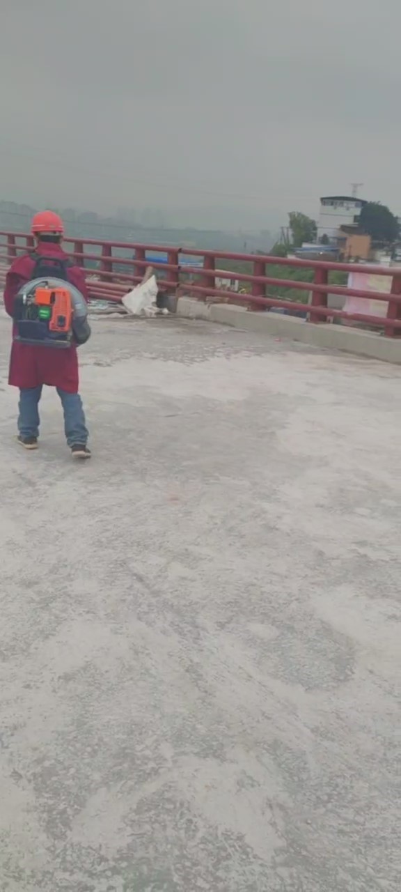 重庆白居寺长江大桥桥梁防水