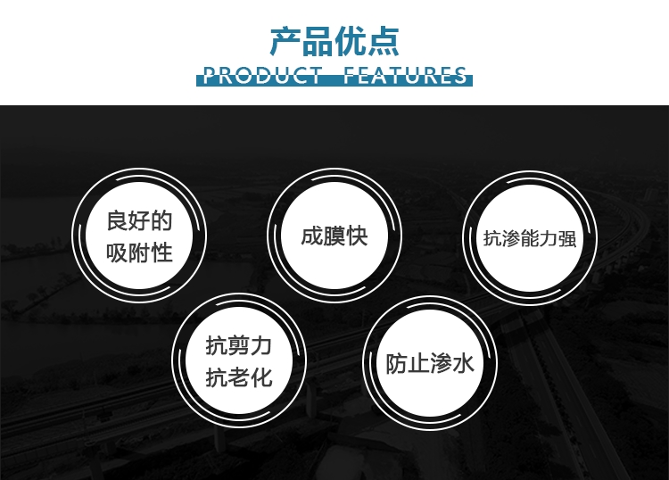 JBS道桥专用防水涂料（PB）