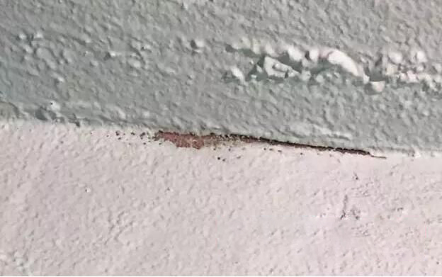 防水层为什么会发白起粉？